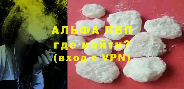 сатива Вяземский
