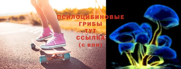 шишки Болохово