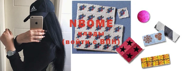 шишки Болотное