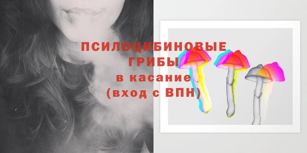 шишки Болохово