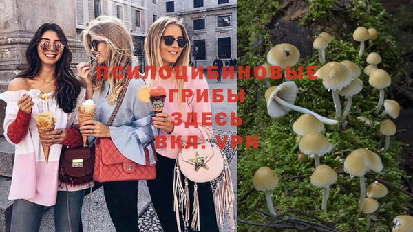 амф Вязьма