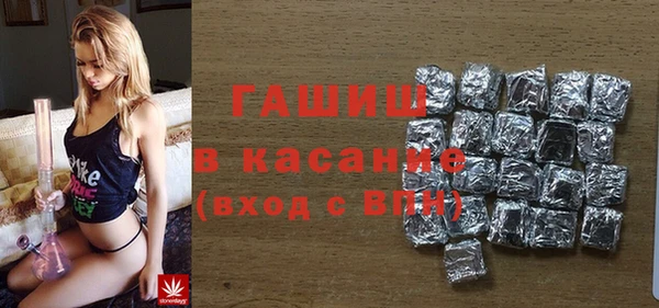 сатива Вяземский