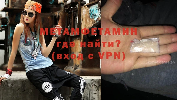 шишки Болотное
