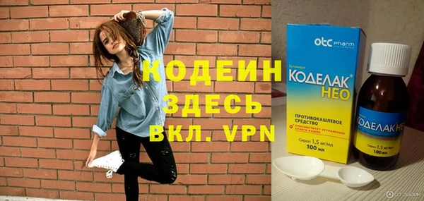 сатива Вяземский
