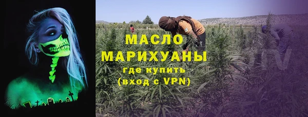 сатива Вяземский