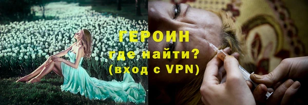 сатива Вяземский