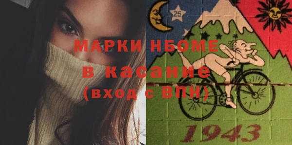 шишки Болохово
