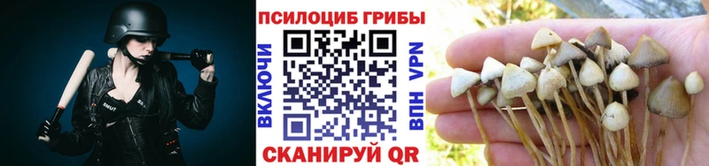 Галлюциногенные грибы прущие грибы  магазин  наркотиков  Гуково 