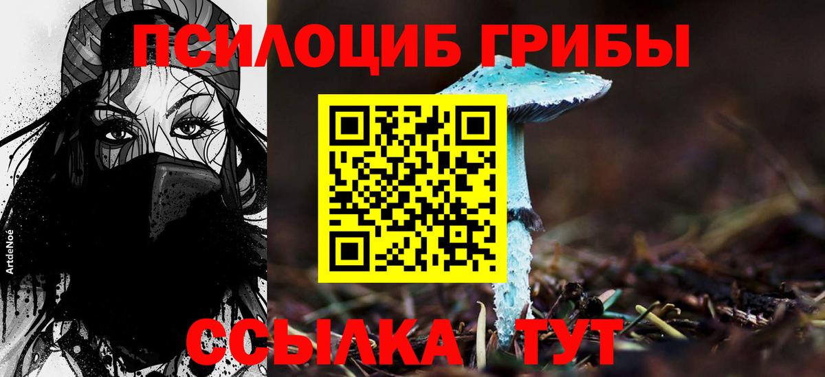 Галлюциногенные грибы прущие грибы Гуково