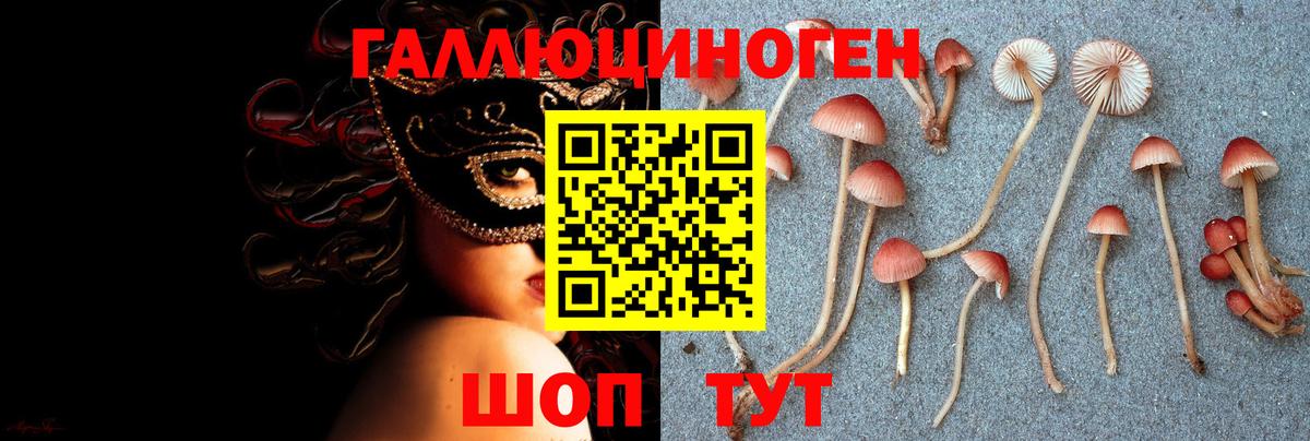 Галлюциногенные грибы Psilocybe  где можно купить наркотик  Вход с VPN  Гуково  Галлюциногенные грибы Magic Shrooms 